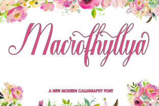 Discover the Beauty of Macrofhyllya Script