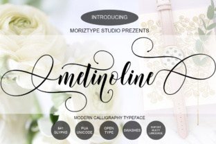 Metinoline Script: A Versatile Font for Creative Expression
