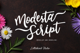 Modesta Script for Feminine Design Projects